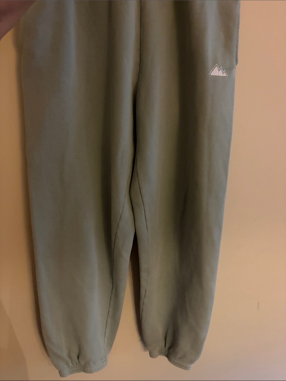 Tna Aritzia Cozy Fleece Mega Sweatpant Light Mint Green Small